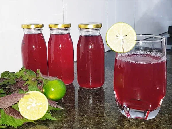 nước tía tô gừng