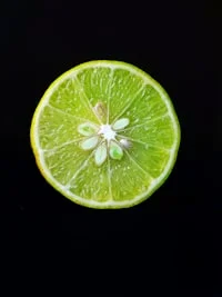 Tổng Hợp Hành Trình Chữa Cảm Sốt, Ho, Viêm Họng Bằng Ăn Uống - green lemon
